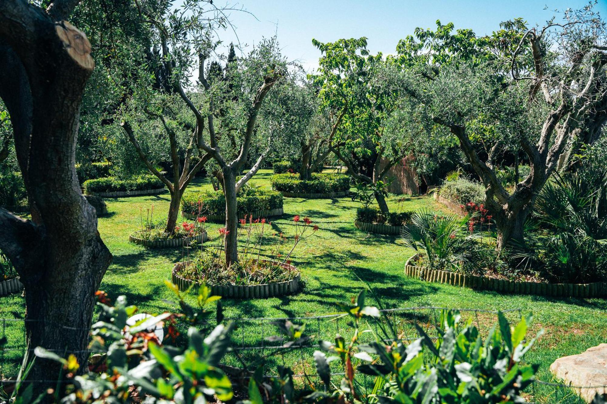 Residence Solemaremma กาส์ตีจลิโอเน เดลลา เปสกายา ภายนอก รูปภาพ