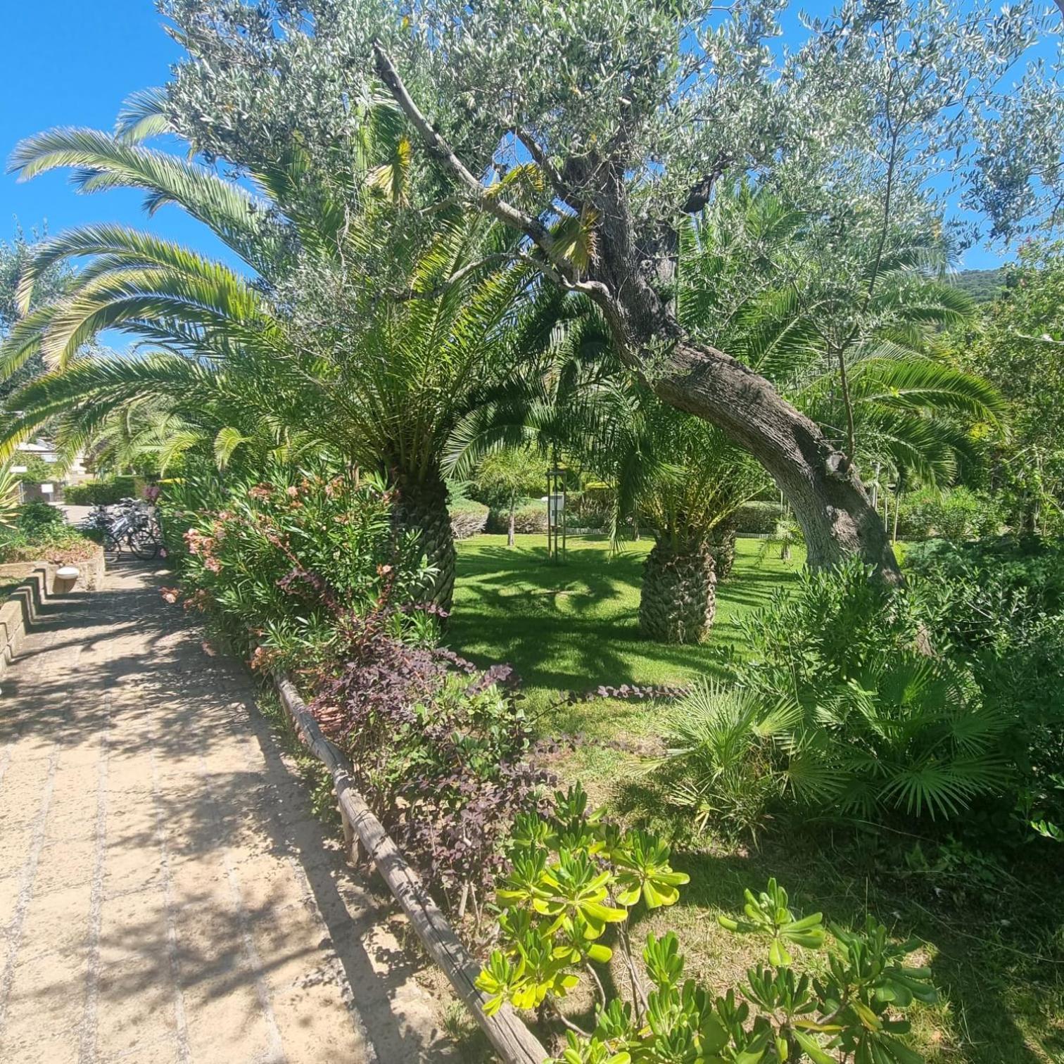 Residence Solemaremma กาส์ตีจลิโอเน เดลลา เปสกายา ภายนอก รูปภาพ