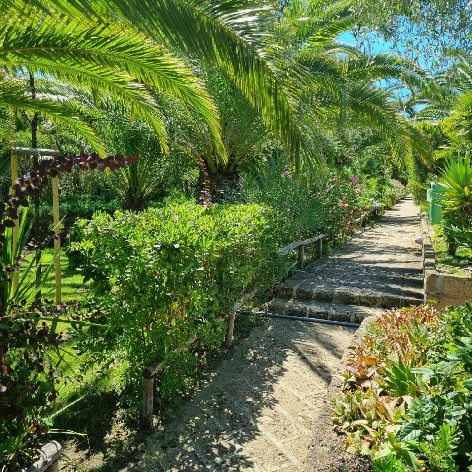 Residence Solemaremma กาส์ตีจลิโอเน เดลลา เปสกายา ภายนอก รูปภาพ
